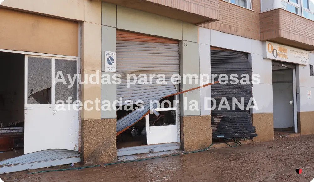 ayudas-gobierno-ayudas-empresas-dana