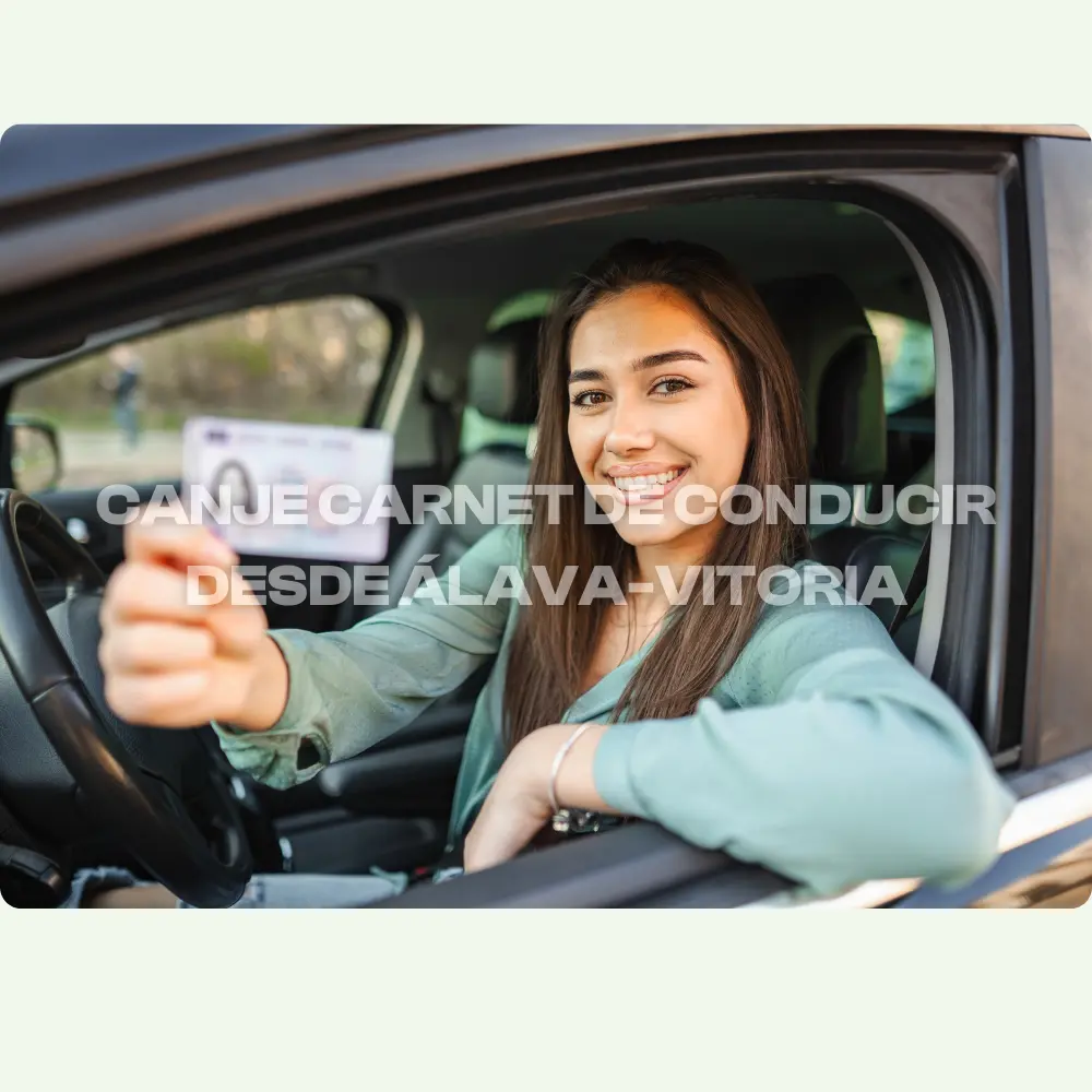 canje-carnet-conducir-alava-vitoria-dgt-gestoria