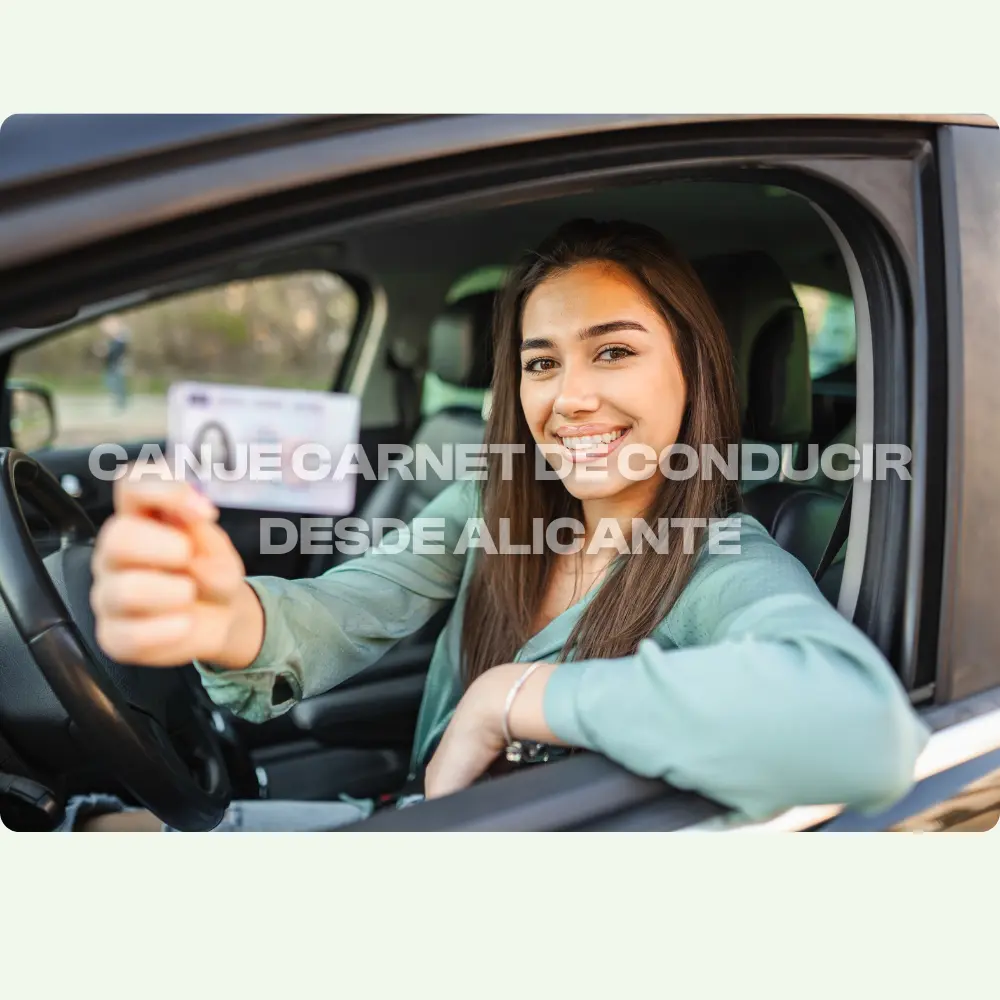 canje-carnet-conducir-alicante-dgt
