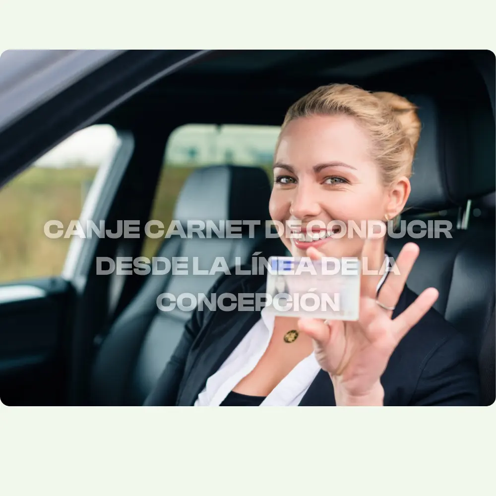 canje-carnet-conducir-dgt-digital-linea-la-concepción