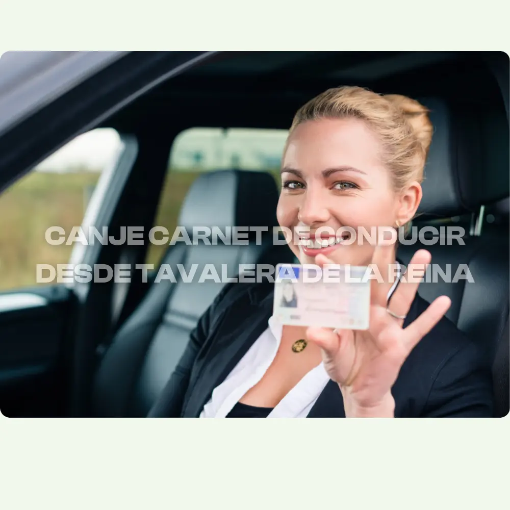 canje-carnet-conducir-dgt-digital-tavalera-la-reina