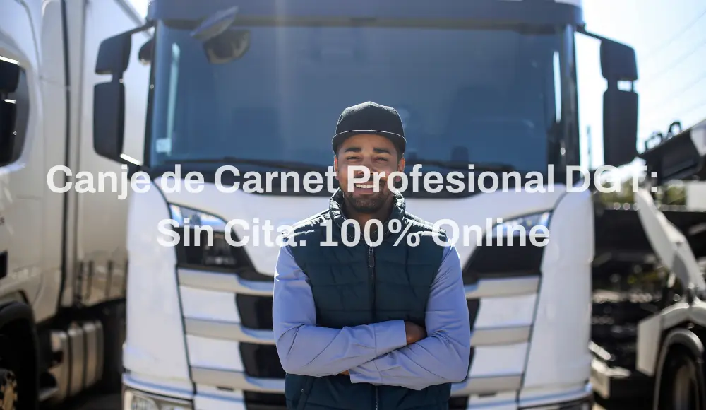 canje-licencia-profesional-dgt-sin-cita