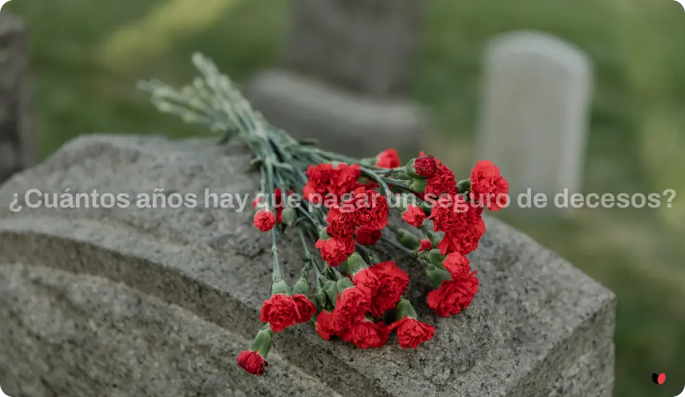 cuantos-años-pagar-seguro-decesos