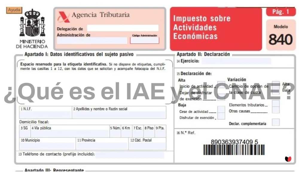 ¿Qué es el IAE y el CNAE?