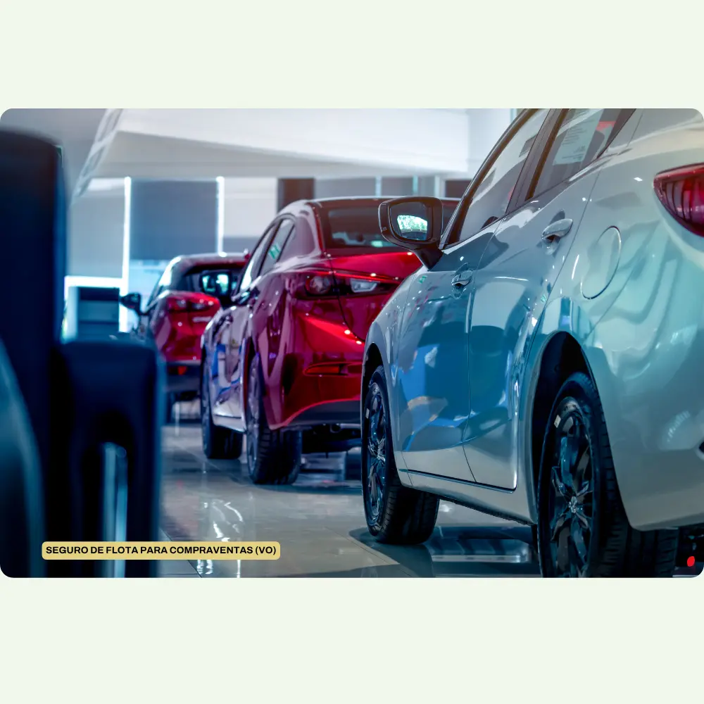 seguro de flota para compraventas de vehiculos de ocasion y concesionarios